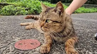 Неожиданная доброта — лучший подарок на свете ❤️