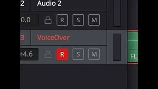 Davinci Resolve microphone doesn't work after patching