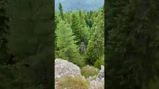 Valley of Bells: Where Goat and Sheep Songs Echo  #mountains #nature #hiking #travel #mountains