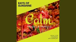 Binaural Morning Treats