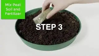 Bonsai Tree Kit for Beginners | 5 Unique Japanese Bonsai Seeds with Tools & Planters |Gift Set