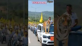 #tiger #jairammahto #highlights #jlkm #kudmisamaj #viral #viralshorts