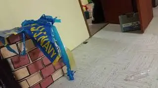 Cacatillo sufriendo para ba&ntilde;arse August 10, 2018
