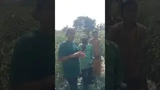 net surf biofit company ka agriculture product se shandar result 9977950939