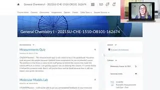 How to Navigate Through D2L (Desire 2 Learn, Brightspace)
