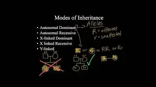 Pedegree chart for different x linked and autosomal traits
