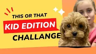 THIS OR THAT KIDS CHALLENGE | Chloe goes toy shopping at Target! | Weekly Family Vlog
