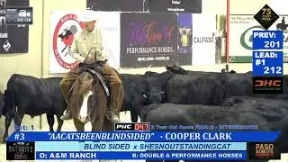 PCCHA 3YO Intermediate Open Champion - Cooper Clark & AACatsbeenblindsided