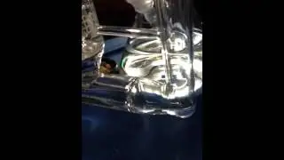 BIO Bong Crazy Custom Water Pipe