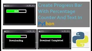 Create Progress Bar With Percentage Counter And Text In Python #2