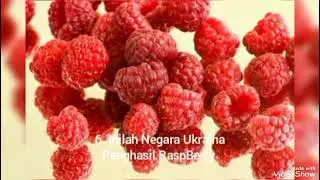 Edisi Negara Penghasil RaspBerry Terbesar Di Dunia 