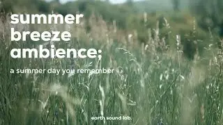 [ASMR] 1 Hour of Soft Summer Wind Ambience Sounds (👽Verified) | For Focus & Sleep