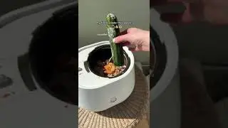 Turning our food waste into dirt ⚡️