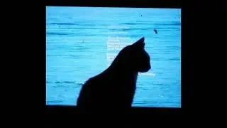 (free) indie / sombr / bedroom pop type beat 
