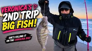 Surf Perch Queen Returns!