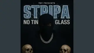 NO TINT NO GLASS