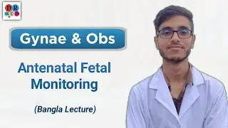 Antenatal assessment of fetus | Antepartaum fetal monitoring | Gynae and obs bangla lecture