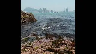 #piano #nature #ocean #wind #relaxing #soothing #sounds Passacaglia - Handel/Halvorsen