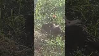 👉Расскажем и покажем о вашем бизнесе в соцсетях🤝обращайтесь в Direct✍️