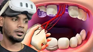 Becoming a Professional Dentist in VR!