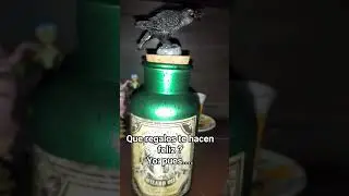 #detallesalucinantes #cuervo #gothic #vinos #edgarallanpoe #elcuervo