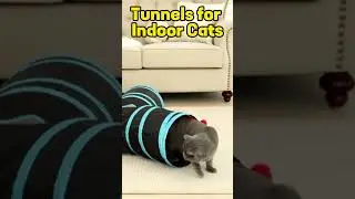 Pet Cat Tunnel Tube Toys 3 Way Collapsible/Best Ways to Play with your pet  #amazonfinds  #dog #cat