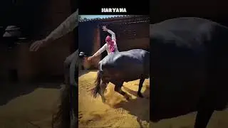 Welcome to Haryana 🚜💀 - Jaat Culture & Desi Life!