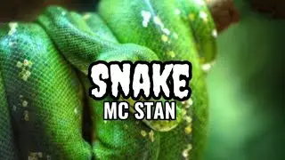 MC STAN - SNAKE (LYRICS)