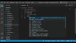 int overflow in C