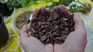 Improve your soil mix with ORCHID BARK!!