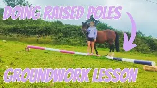 RAISED POLES WITH MY PONY! GROUNDWORK LESSON