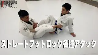 ストレートフットロック各種アタックを説明させていただきました