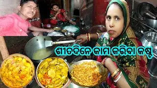 ଏତେ ଶୀତ ରେ କାମ କରିବା କୁ ଭାରି କଷ୍ଟ || odia vlog || villagelifestyle || jajpurbnvlog 🌹🌅🙏||