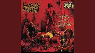 Insanity's Grip