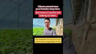 Anyways, I&rsquo;m the Chinese peasants which can manufacture frozen vegetables fruits french fries