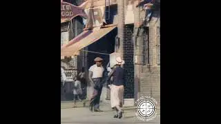 Trac Qaeda - Reggie Lives