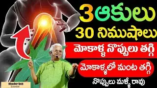 మోకాళ్ళలో గుజ్జు విపరీతంగా పెరుగుతుంది నొప్పులు తగ్గుతాయి | Dr Khadar Vali  About Knee Pains