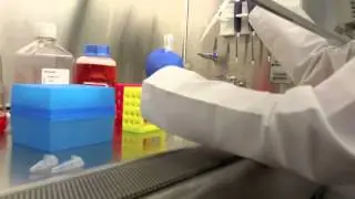 BrainCancer.org 