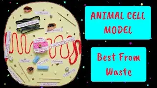 Animal Cell Model 👌 Best from Waste School Project Science Exhibition kids activity #roshronrockzz