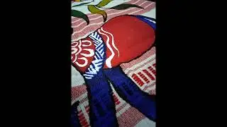 Sohrai painting in traditional saree | #sohrai#art#folkart#drawing#painting#fabric#acrylic#shorts