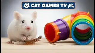 🔴LIVE 12 HOUR - WOW! A selection of calming games designed for cats #636