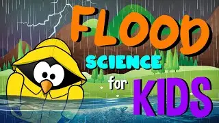Flood | Science for Kids
