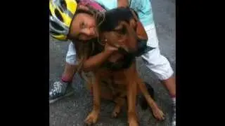 Mina husdjur (Hunden) Leon (F&aring;glarna) Billy och Bella