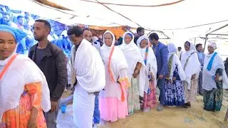 Amazing Tigray wedding special culture ዝገርም ብሉጽ መርዓ ትግራይ Part 229/ቴሌፎን ሚድያ Telephone Media