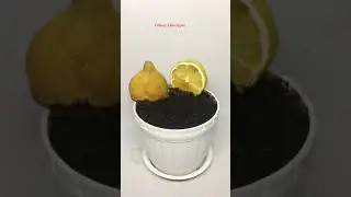 Growing Lemon Time lapse