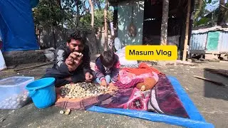 কোয়েল পাখি আজ অনেক গুলো ডিম দিয়েছে 🙄