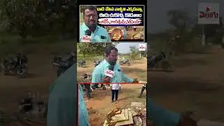 BJP Leader Narasimha Fires On Shadnagar Temple Incident | Ammavari AAlayam | Telangana Velugu