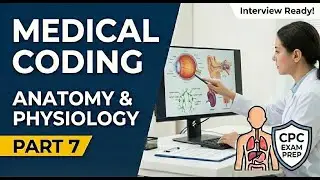 Medical Coding Anatomy & Physiology Questions | CPC Exam Prep & Interview | Part 7