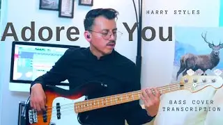 Adore you - Bass Cover
