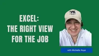 Excel - Standard Views